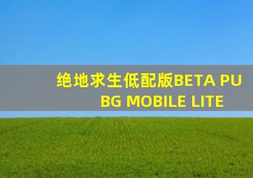 绝地求生低配版BETA PUBG MOBILE LITE